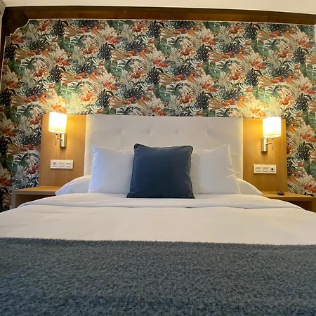 Rural - El Rincon De Don Pelayo 2* コヴァドンガ