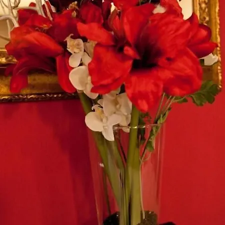 Ξενοδοχείο Rural - El Rincon De Don Pelayo